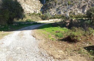 El Ayuntamiento reitera al Gobierno de España que acometa la limpieza y mejora de la antigua carretera N-340 en el Molino de Papel