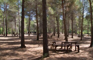 Cierre temporal de El Pinarillo para prevenir incendios forestales