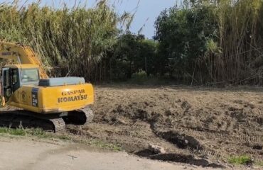 La Concejalía de Medio Ambiente acomete el desbroce y limpieza del río Seco y del Barranco del Puerto