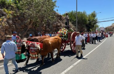 Se abre el plazo de presentación de solicitudes para las barras de San Isidro 2026