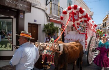 El 4 de mayo se abre el plazo para participar en los concursos de la Romería de San Isidro