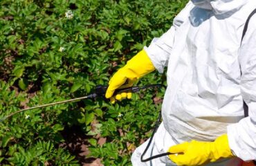 nuevo curso de aplicador de productos fitosanitarios