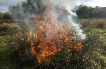 La Concejalía de Agricultura informa sobre la quema de restos vegetales de actividad agrícola en zonas forestales o de influencia forestal
